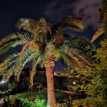 Di Giorgi チェファル