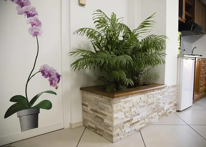 Di Giorgi Чефалу